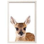 Splosh - Baby Collection Framed Print, Baby Deer